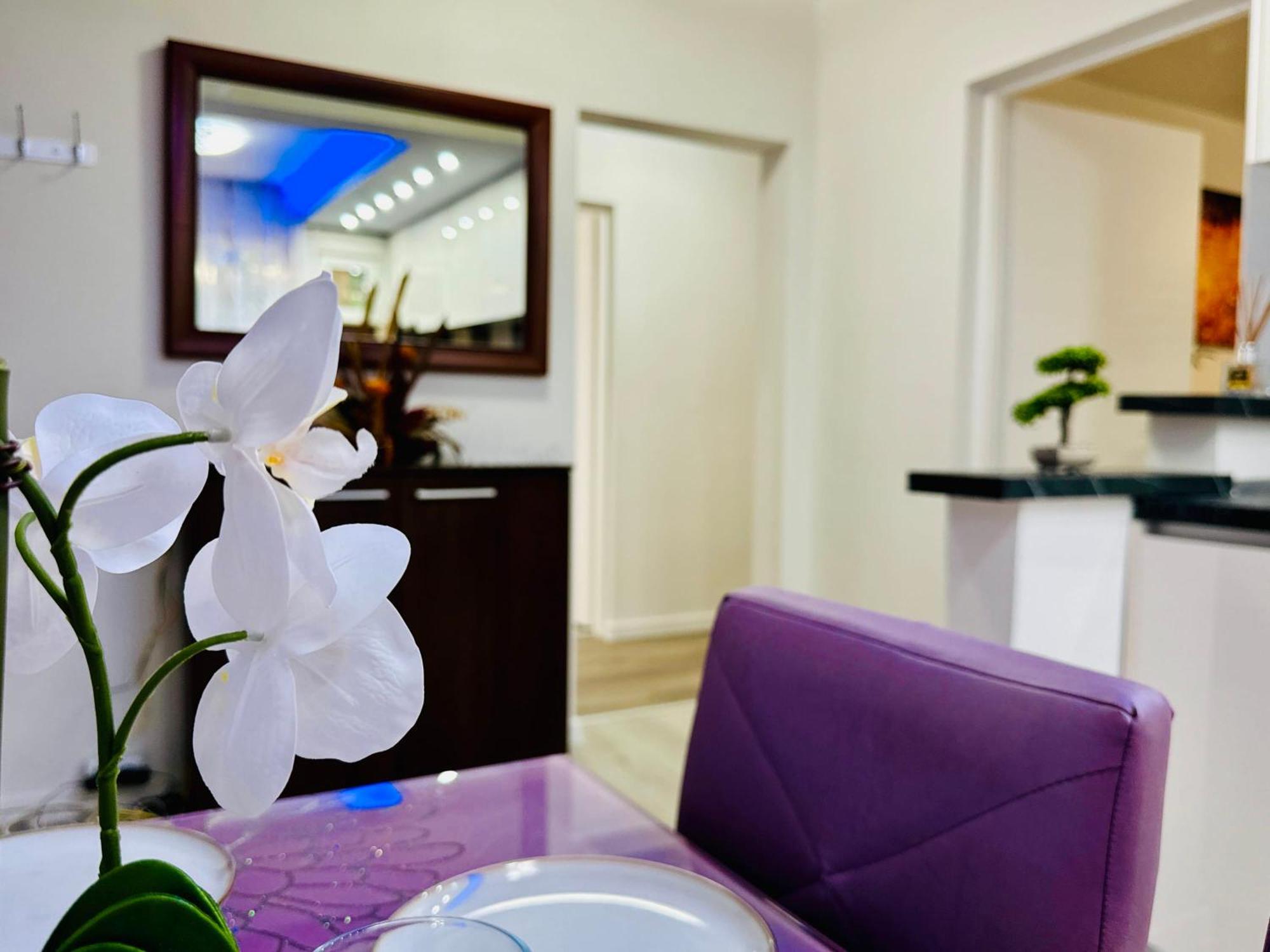 Joy City Stay Spacious Comfortable Timisoara Exterior foto